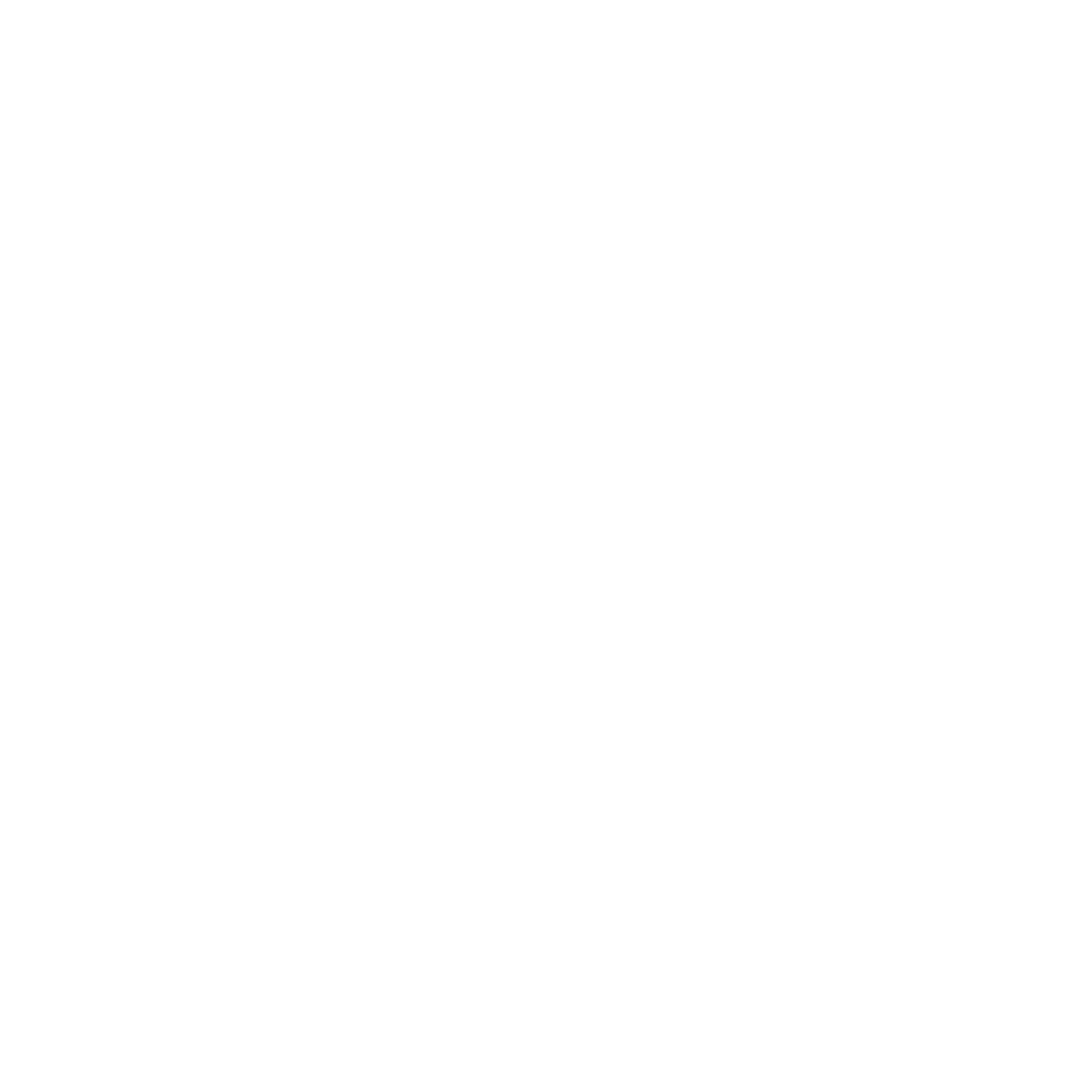 tiktok icon